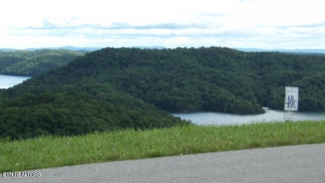 Lot 40 Swan Ridge Road Celina, TN 38551 - Photo 18 of 31 100_0046
