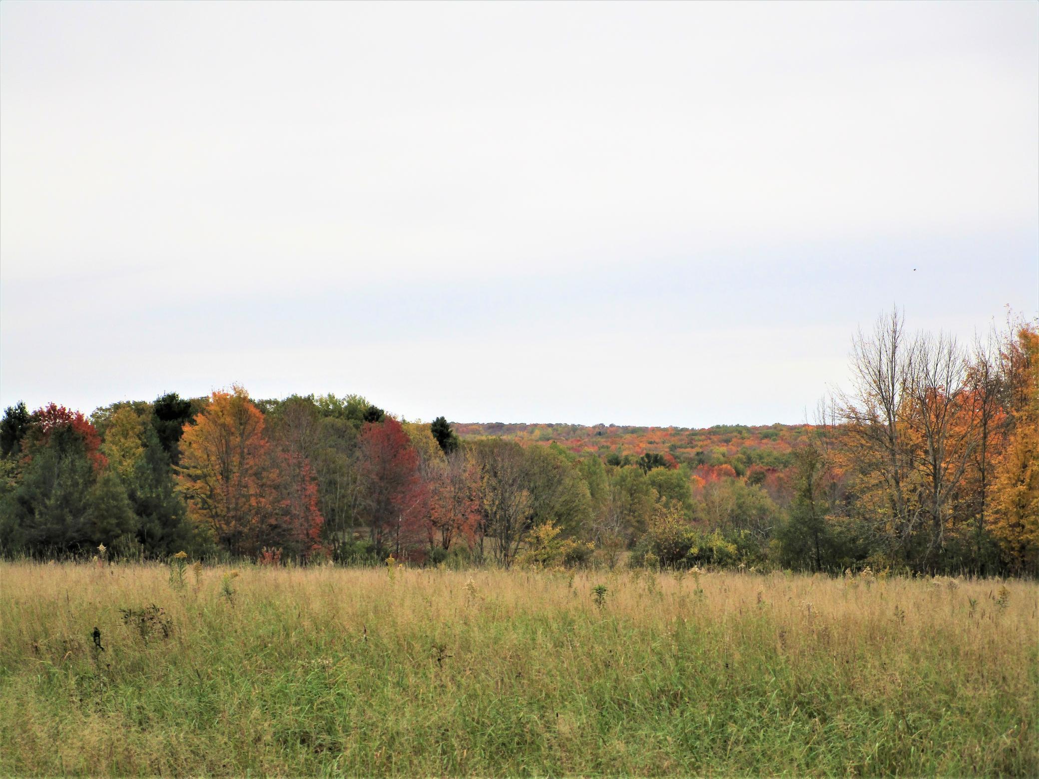 4 90th Street Frederic, WI 54837 - Photo 1 of 1 Gallery Image 1