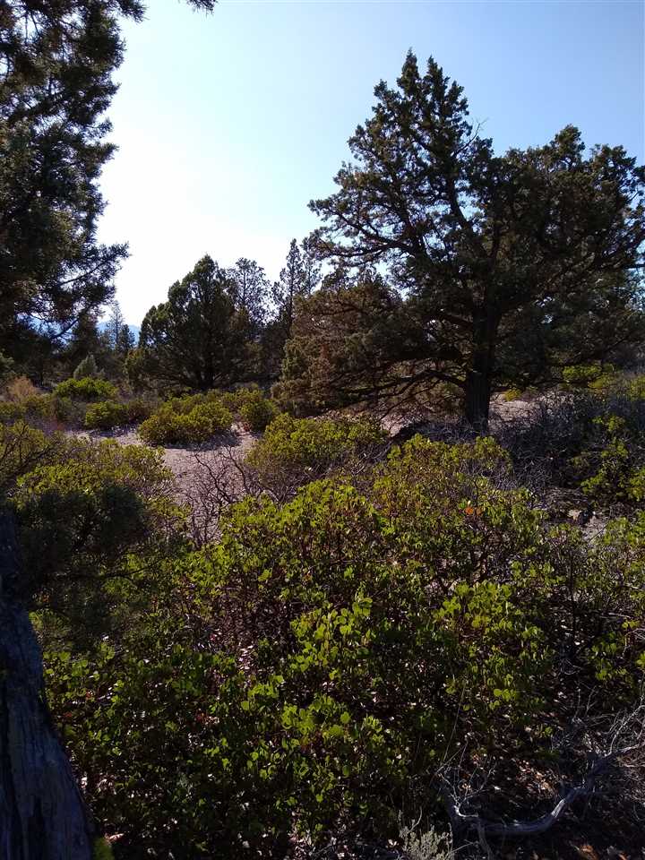 3 Lost Mine Road Montague, CA 96064 - Photo 1 of 1 Gallery Image 1