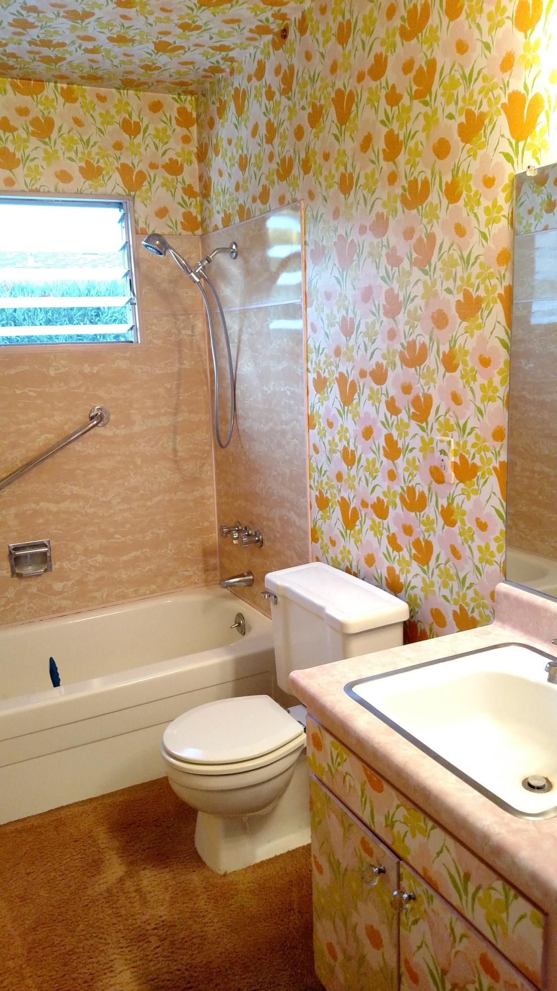 228 Vega Drive Goleta, CA 93117 - Photo 12 of 13 Hall Bathroom