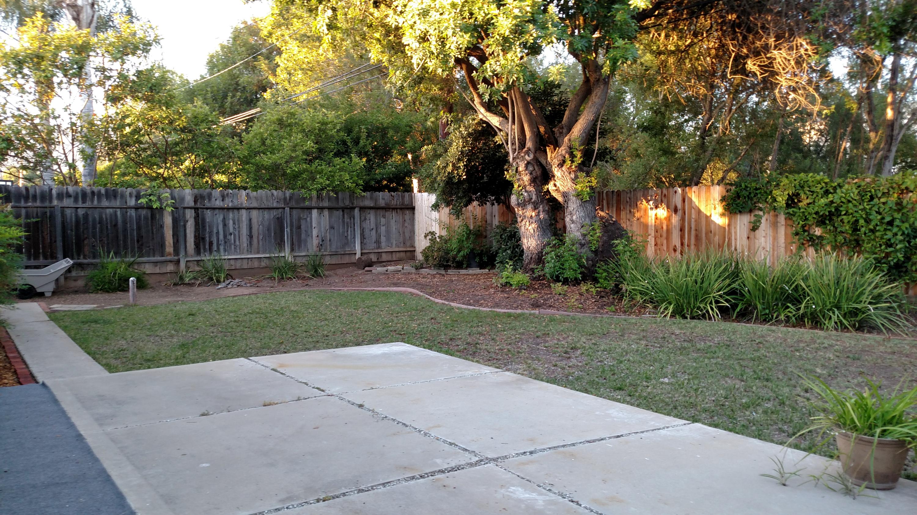 228 Vega Drive Goleta, CA 93117 - Photo 3 of 13 Backyard