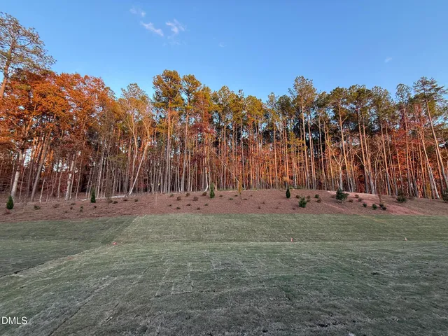 a view of a park with large trees