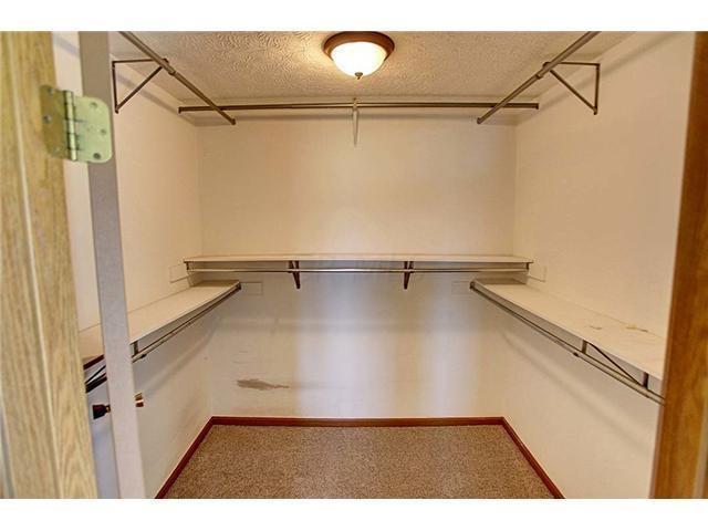 6253 Steitz Road Powell, OH 43065 - Photo 16 of 20 Gallery Image 16