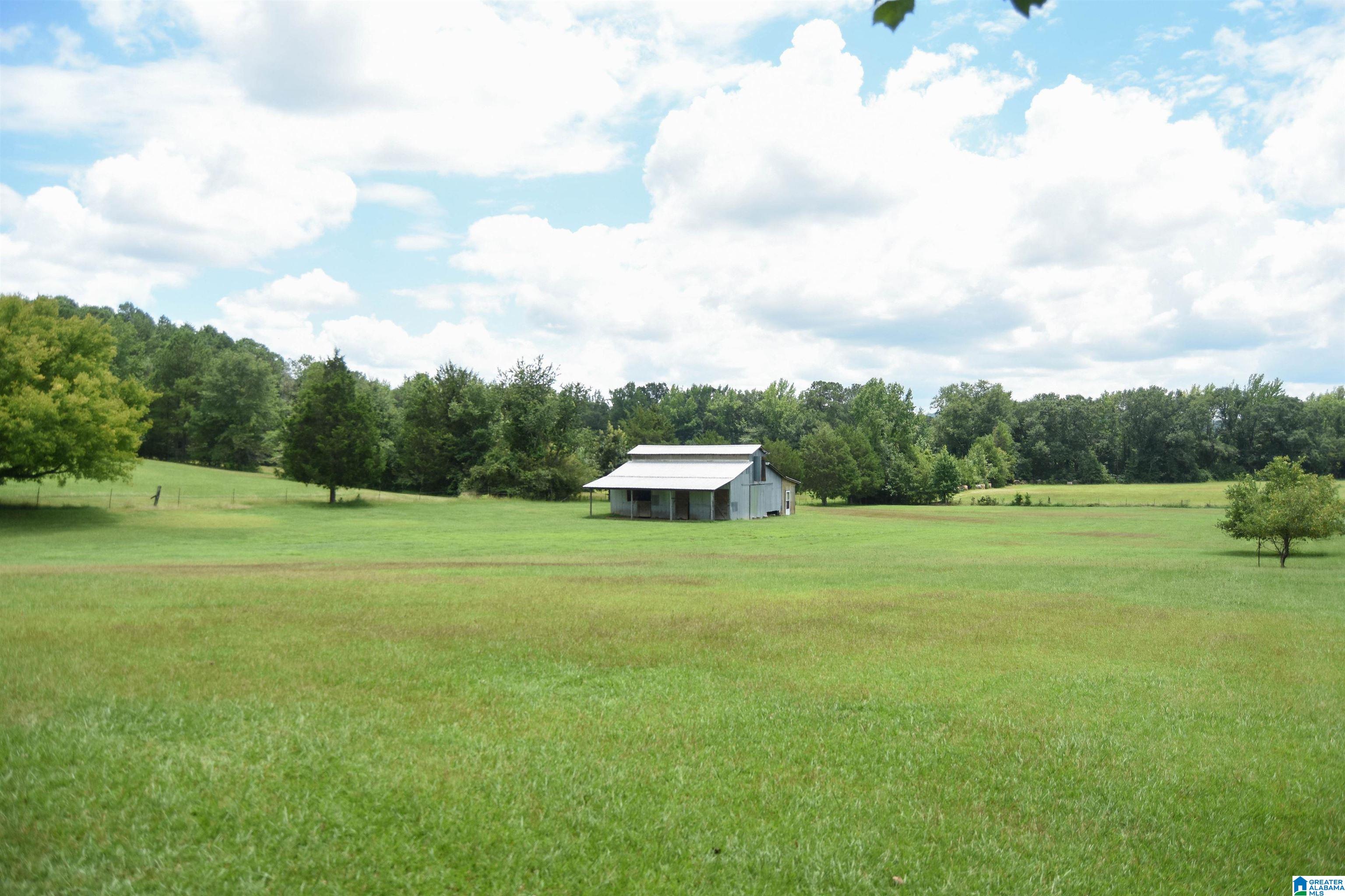 873 Buckelew Road Anniston, AL 36207 - Photo 64 of 91