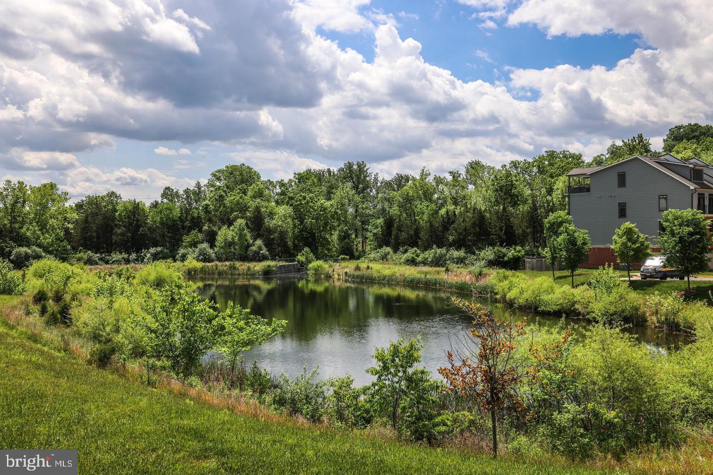 1102 Ribbon Limestone Terrace Southeast Leesburg, VA 20175 - Photo 19 of 26 Limestone Pond