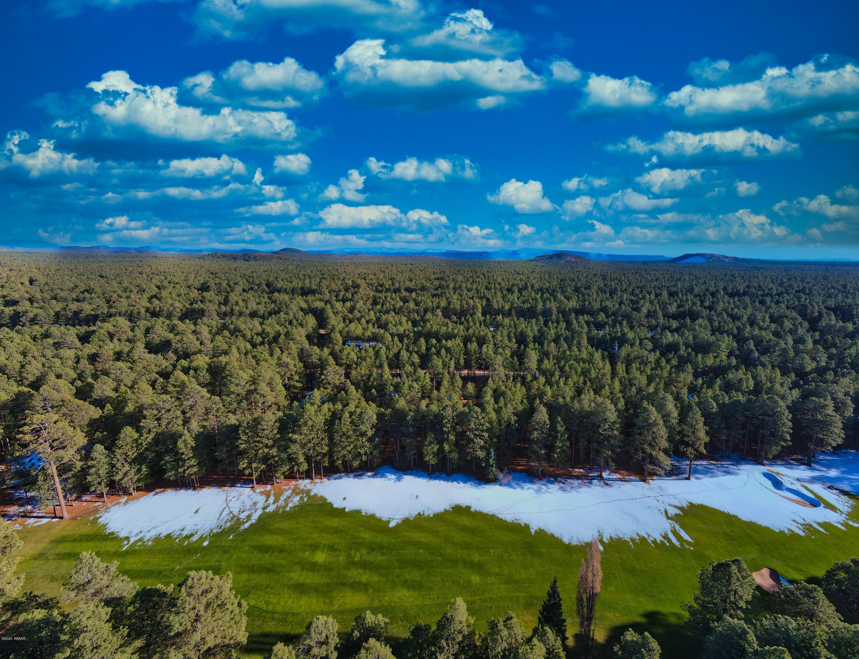 7720 Geronimo Road Pinetop, AZ 85935 - Photo 2 of 17 Gallery Image 2
