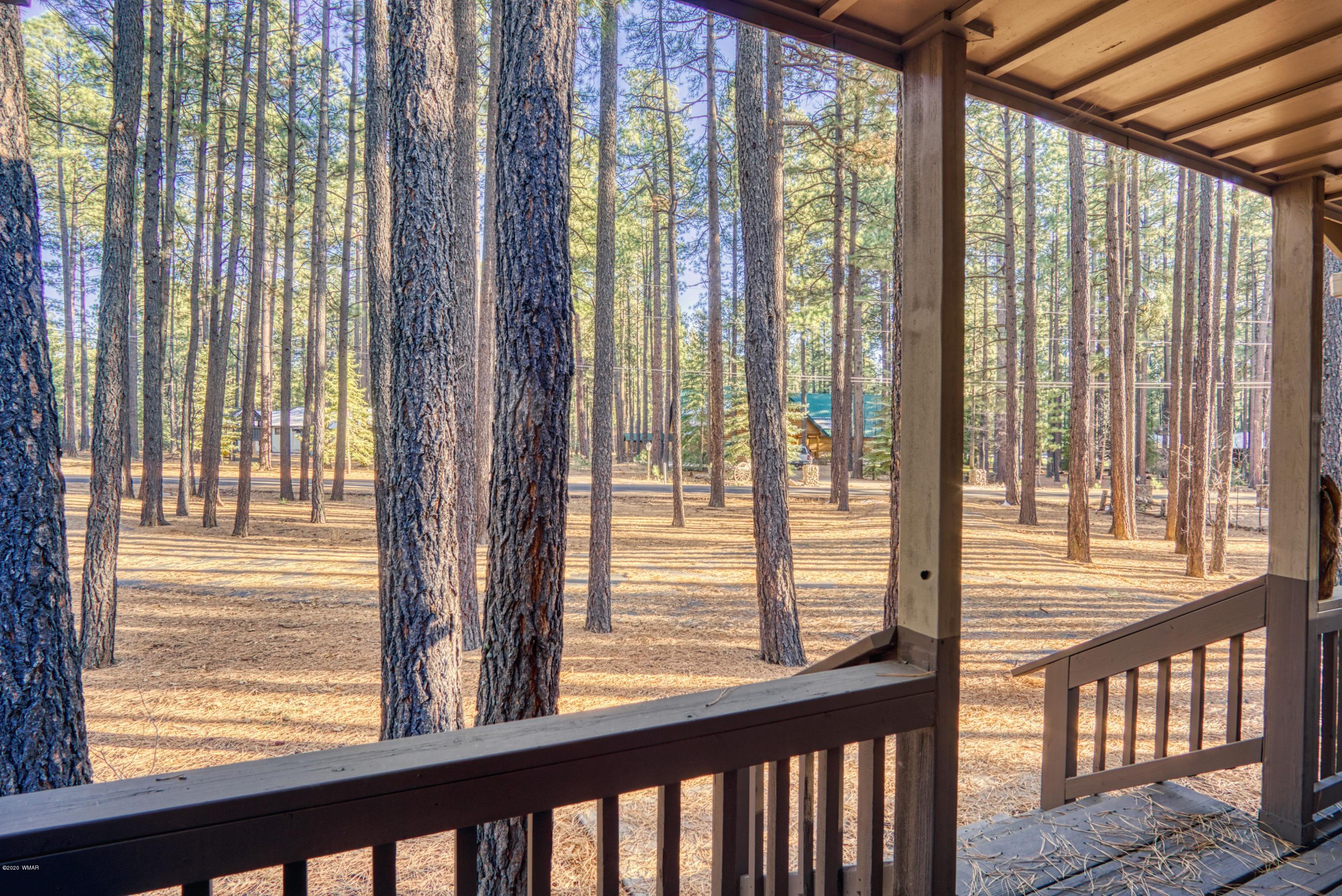 7720 Geronimo Road Pinetop, AZ 85935 - Photo 4 of 17 Gallery Image 4