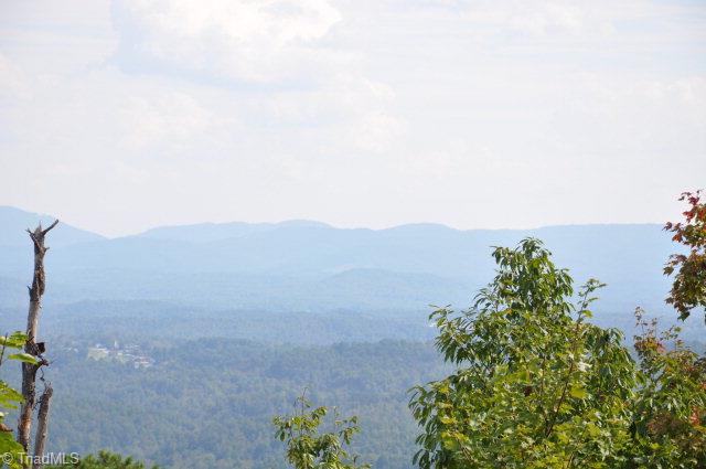 3331 Buck Mountain Road Purlear, NC 28665 - Photo 13 of 14
