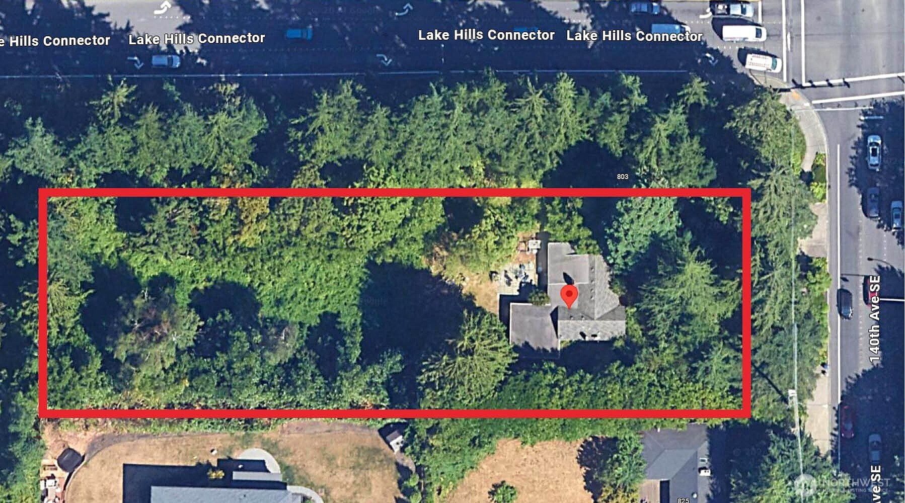 a view of sign board in the middle of flower