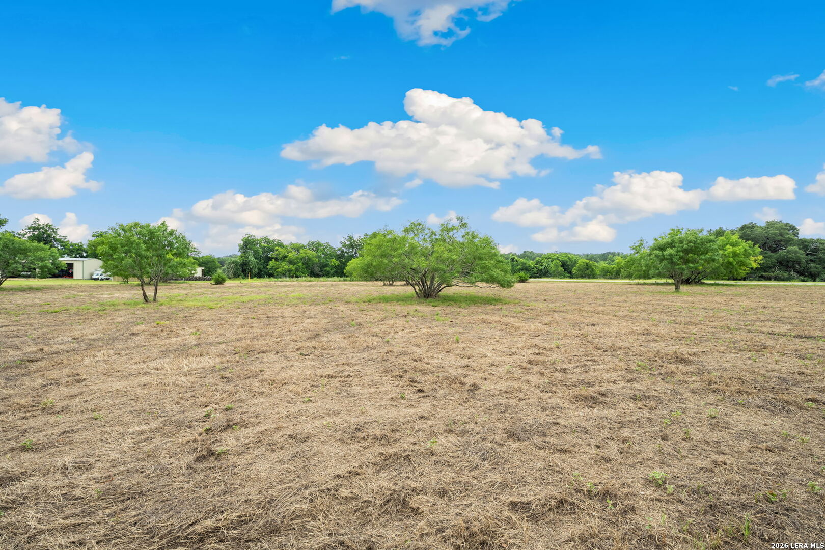 128 Rio Grande Drive Blanco, TX 78606 - Photo 6 of 16