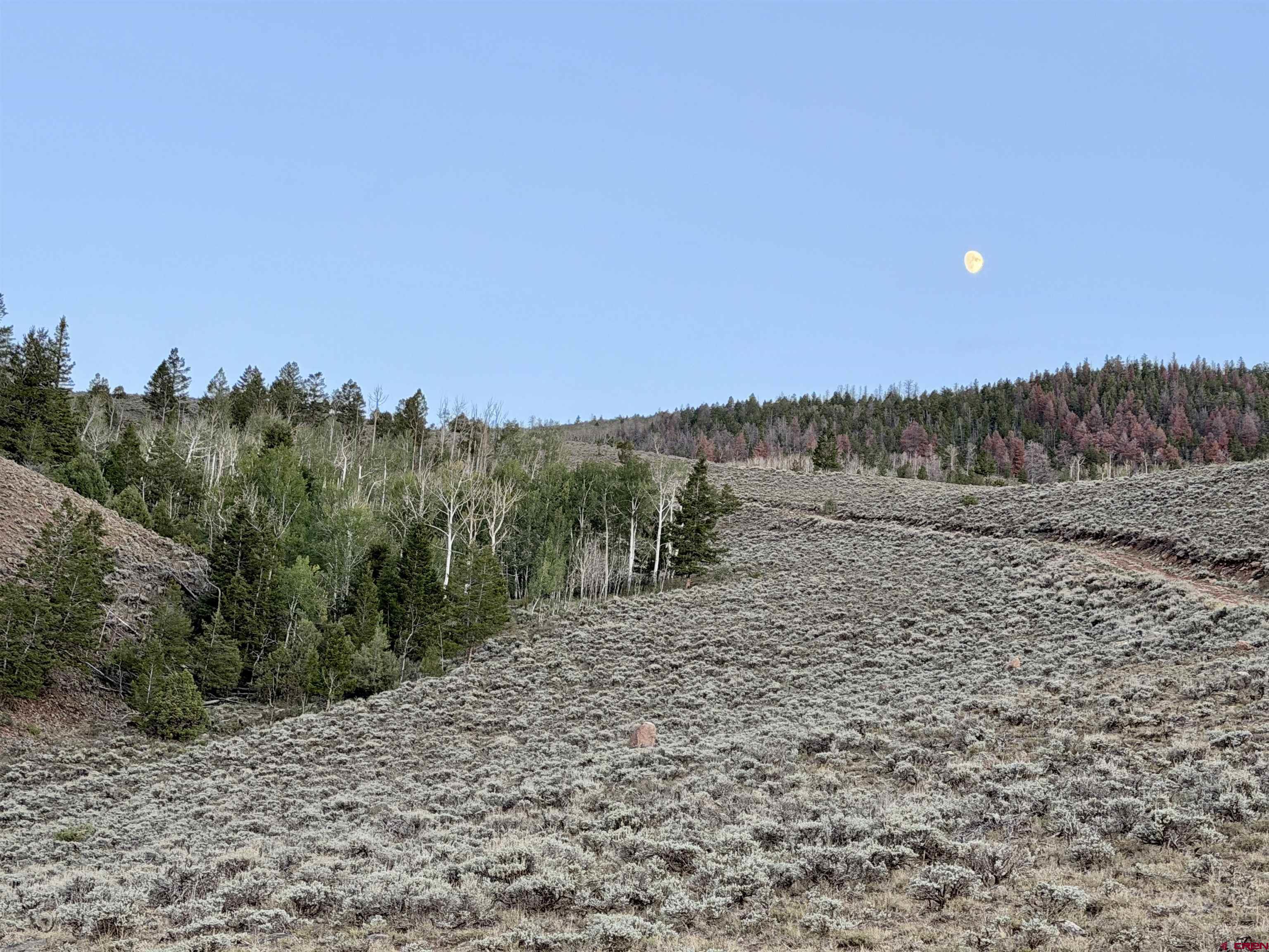 149 Rd Powderhorn Co 81230 Road Powderhorn, CO 81243 - Photo 28 of 40 Gallery Image 28