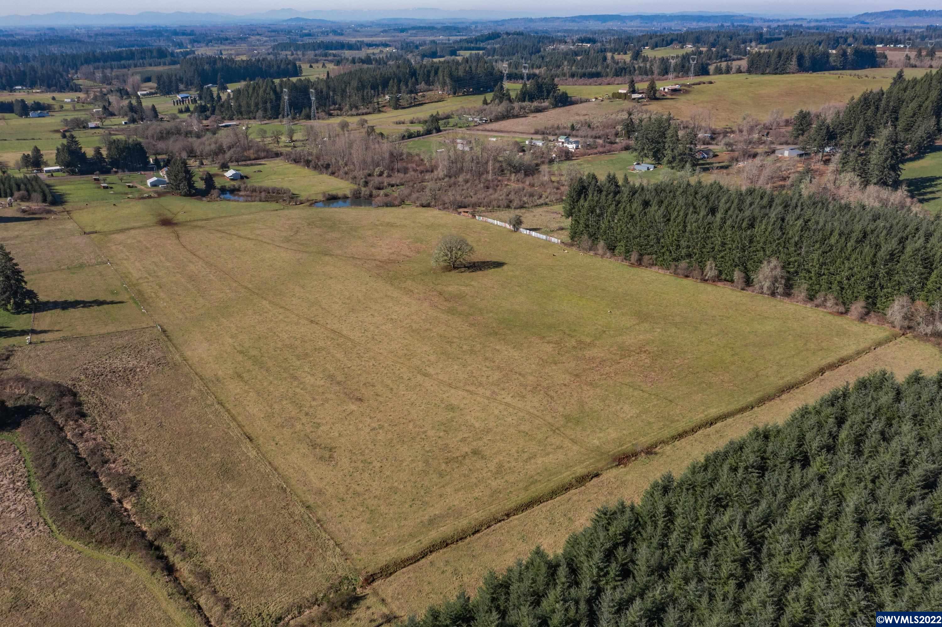 33979 Mt Pleasant Road Lebanon, OR 97355 - Photo 34 of 42