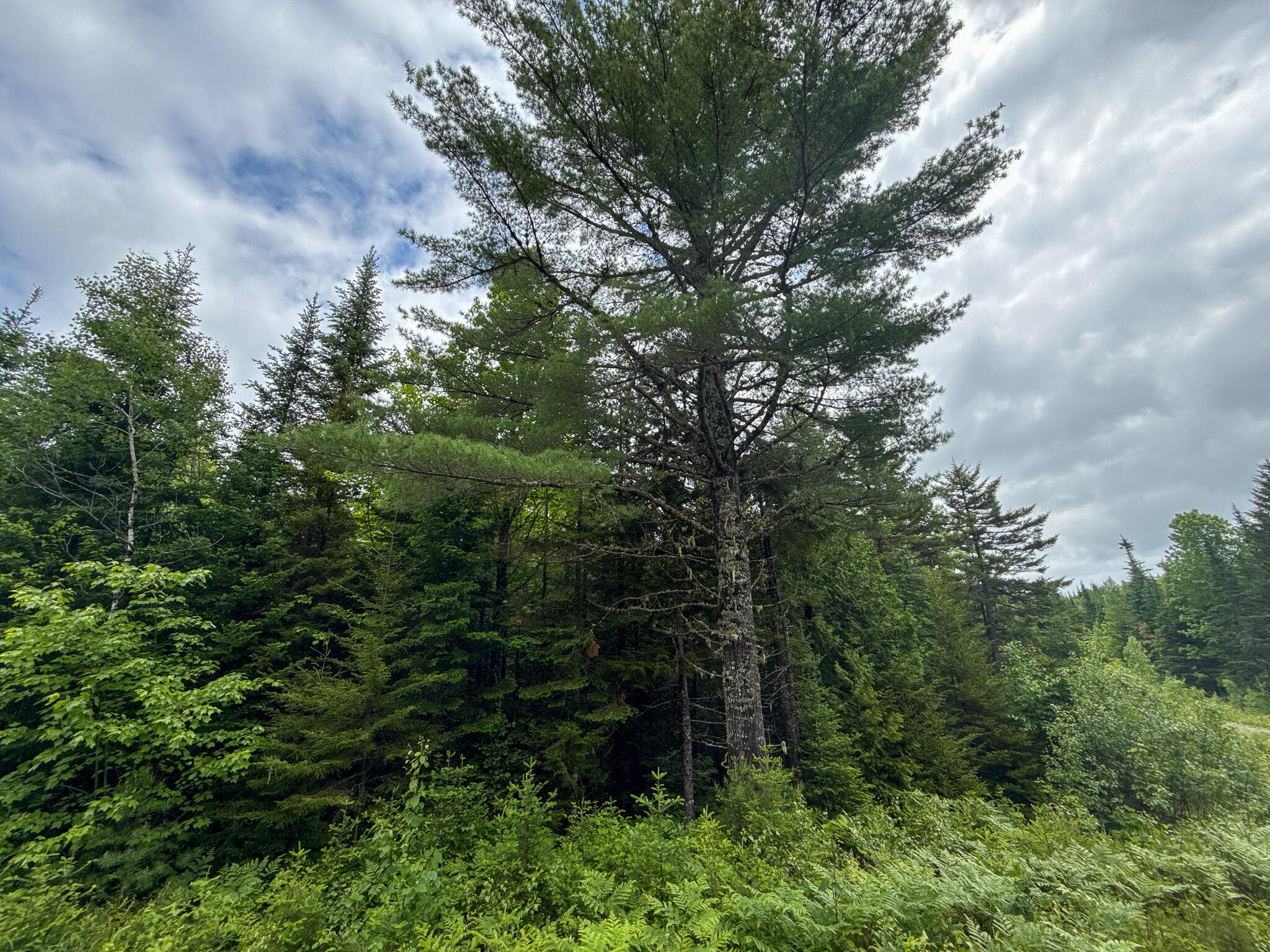 B B Lookout Lane Springfield, ME 04487 - Photo 25 of 33