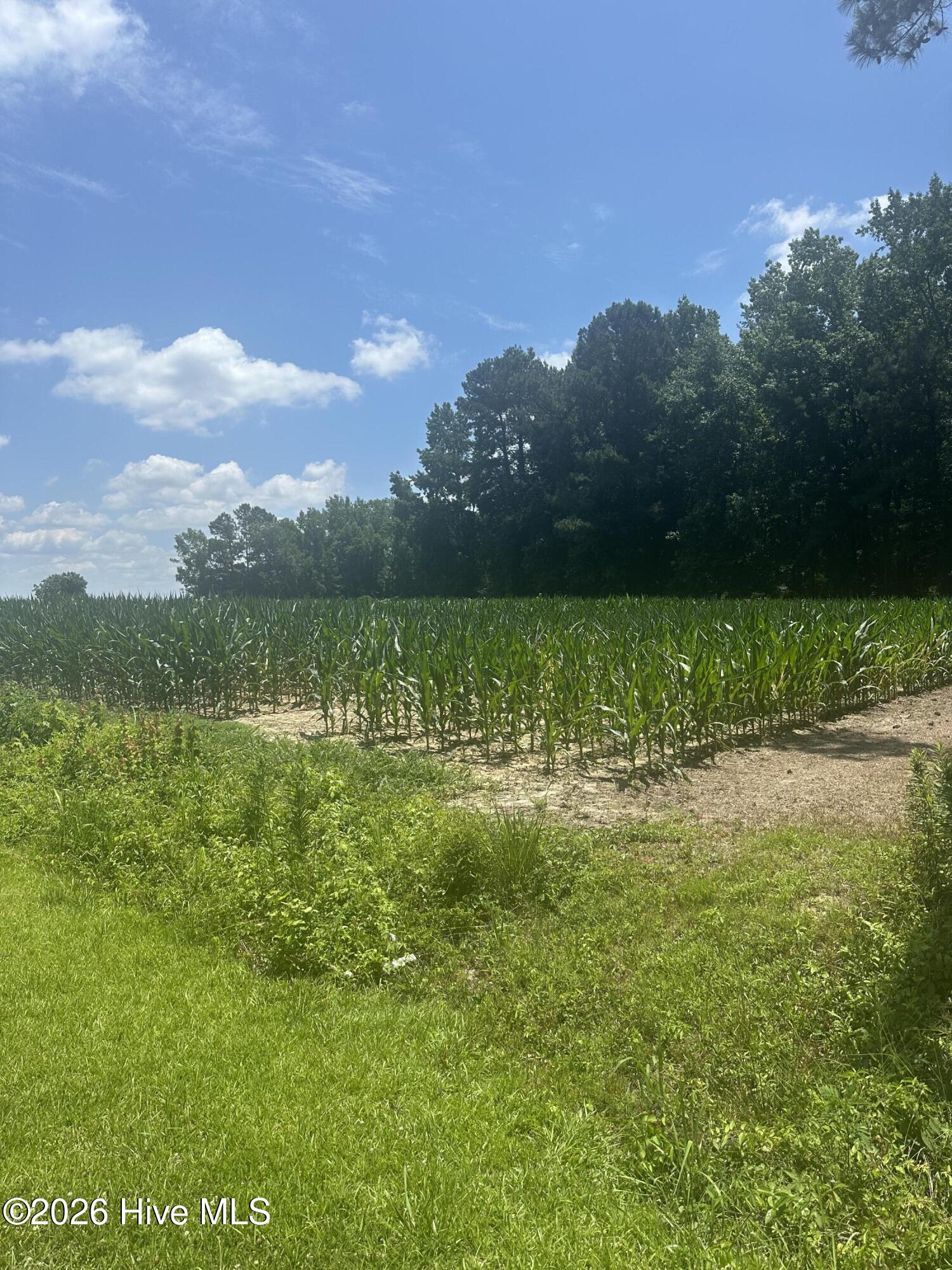 721 Joe Piver Road Chadbourn, NC 28431 - Photo 13 of 18