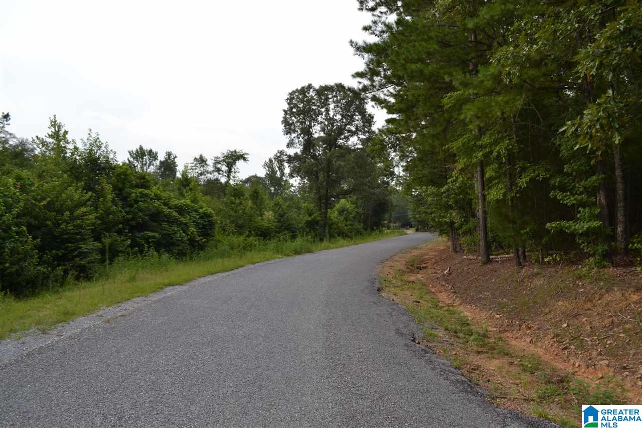 0 Water Oak Lane, Unit 39 ACRES Alpine, AL 35014 - Photo 5 of 7