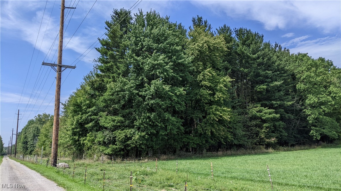 9376 Daniels Road Seville, OH 44273 - Photo 11 of 23