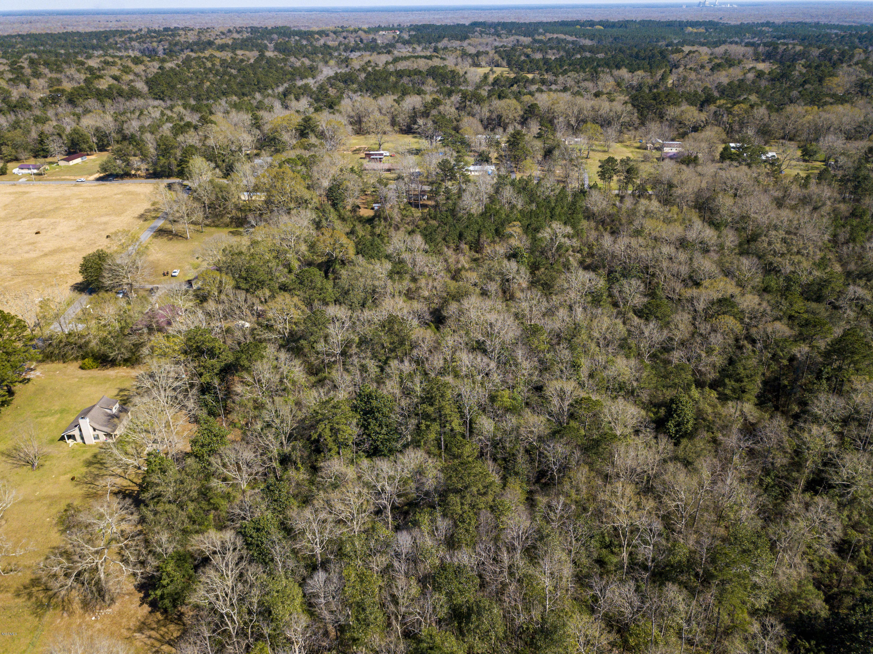 Tbd Old River Road Vancleave, MS 39565 - Photo 4 of 7 OLD RIVER RD_4