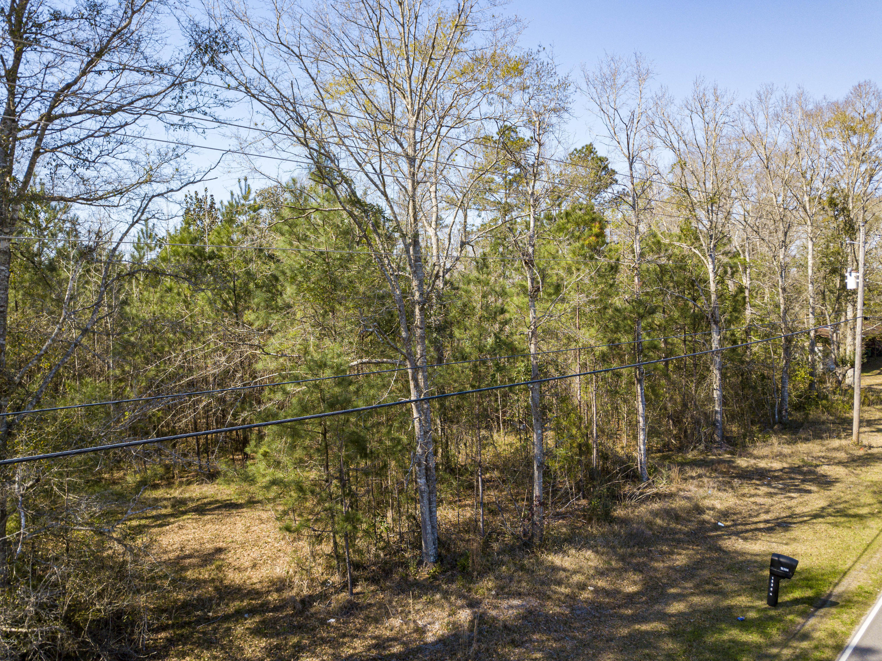 Tbd Old River Road Vancleave, MS 39565 - Photo 7 of 7 OLD RIVER RD_10