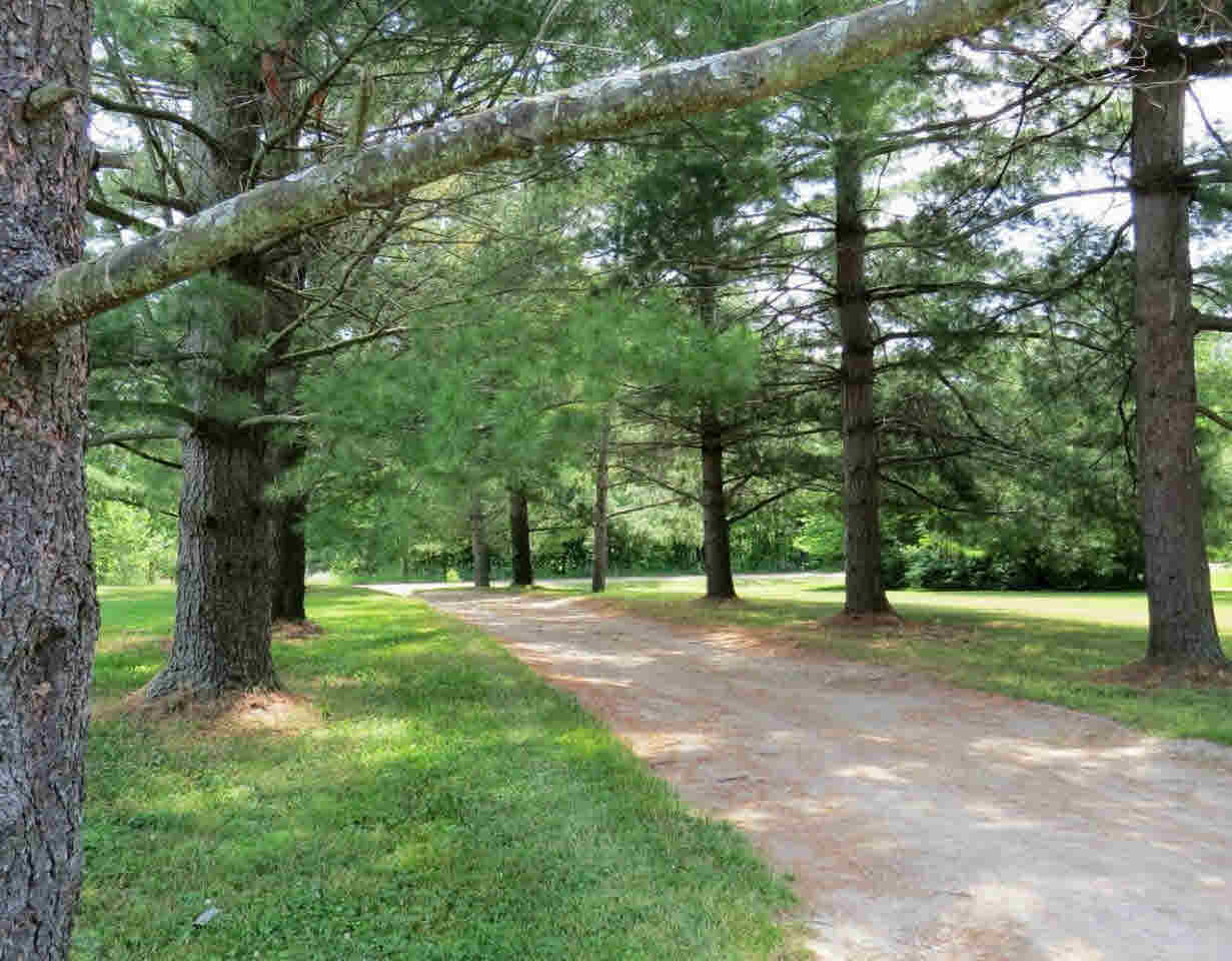 12138 Odell Road Linden, MI 48451 - Photo 3 of 27 21310585-2.JPG