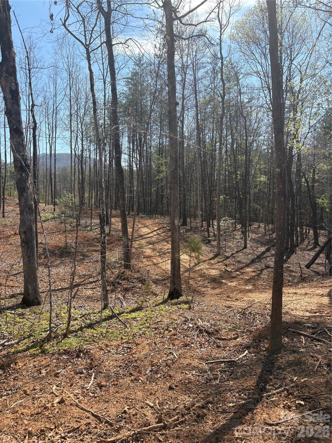 Tbd Avenida De Oro Road, Unit 2 2 Morganton, NC 28655 - Photo 2 of 3 a view of a yard with trees