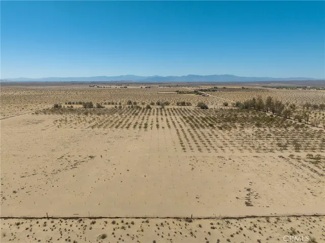 a view of city with ocean
