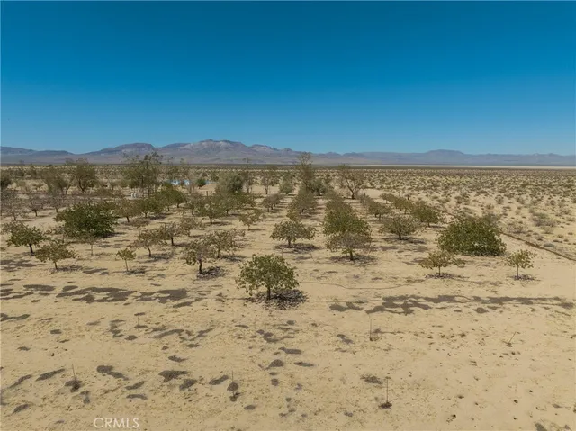a view of beach and ocean