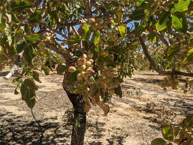 a view of a snow on a road