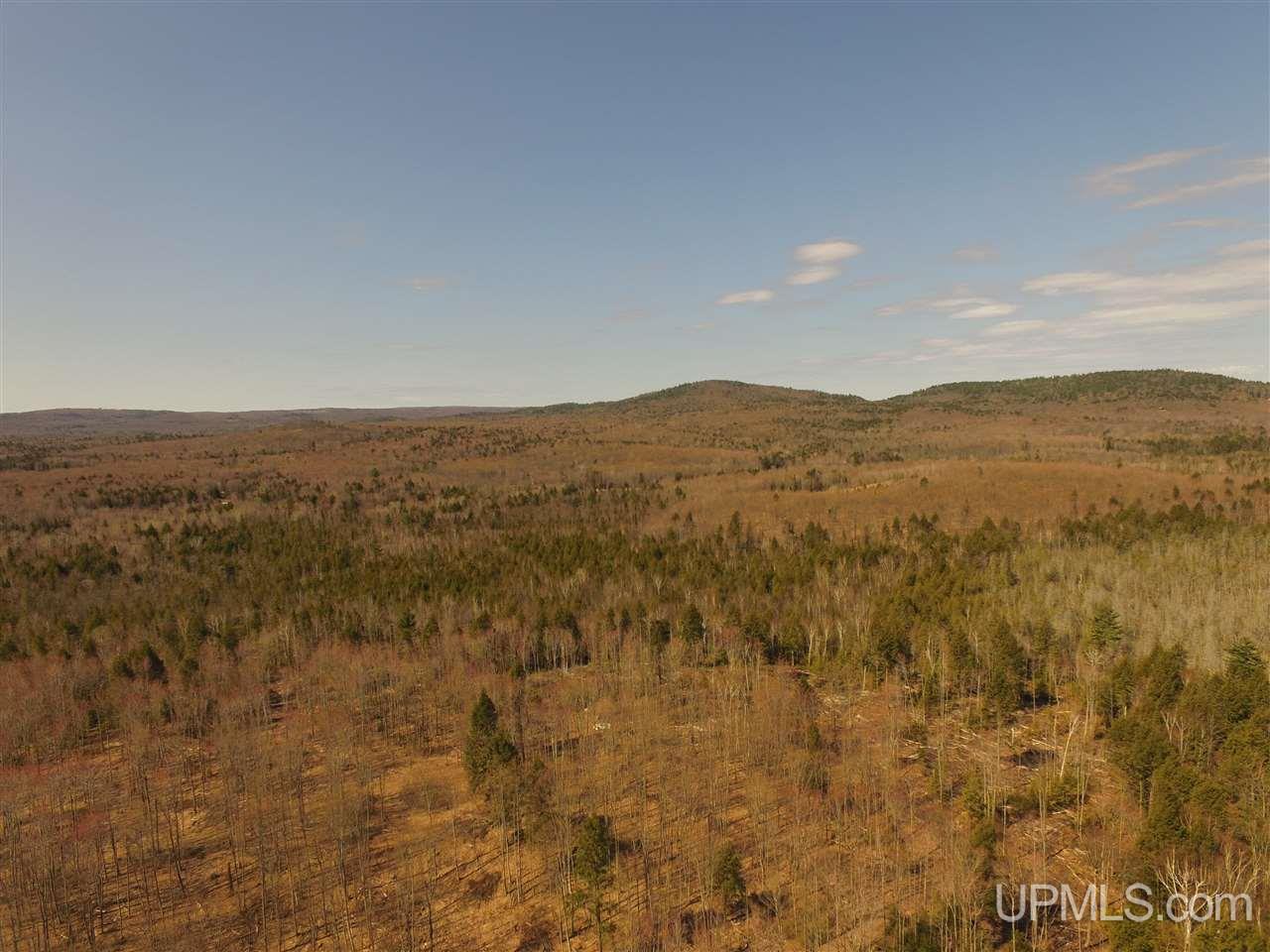 N2510 Co Rd Kch Big Bay, MI 49808 - Photo 4 of 39