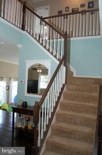 239 Harlem Road Pasadena, MD 21122 - Photo 14 of 23 Stairway