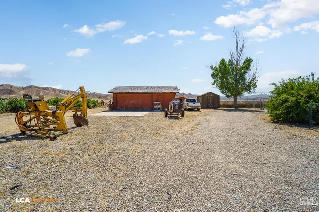 a view of a yard with a tree and a bench