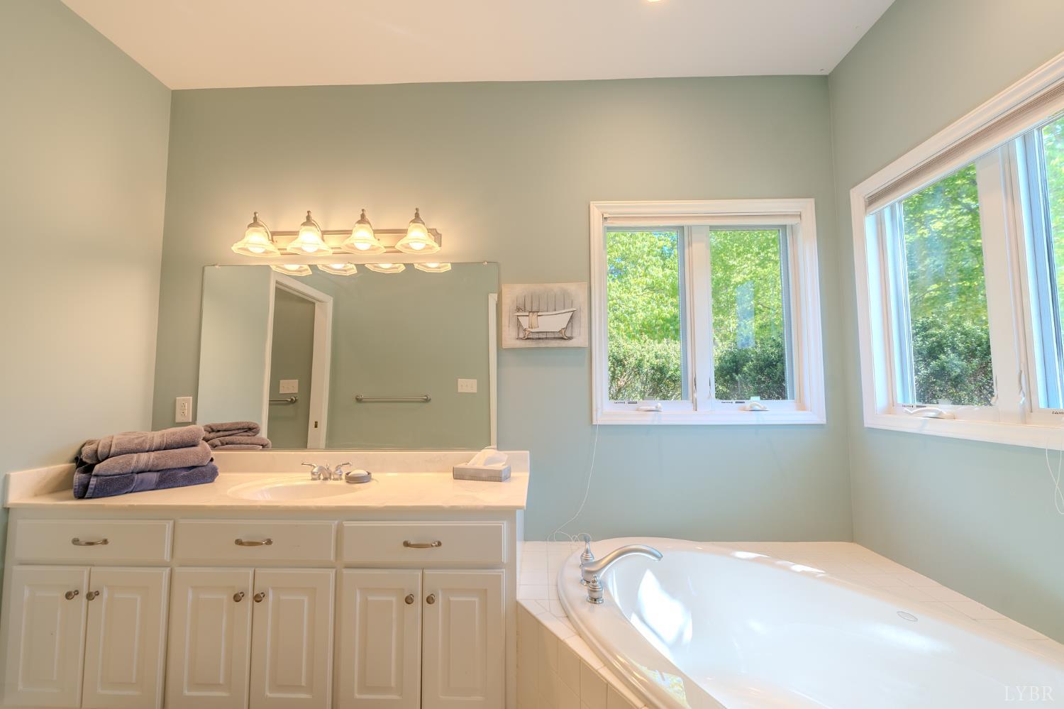 1269 Runaway Bay Road Lynch Station, VA 24571 - Photo 24 of 82 a bathroom with a sink a large mirror and a bathtub next to a window