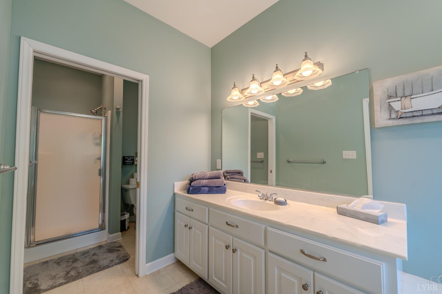 1269 Runaway Bay Road Lynch Station, VA 24571 - Photo 25 of 82 a bathroom with a double vanity sink and a mirror
