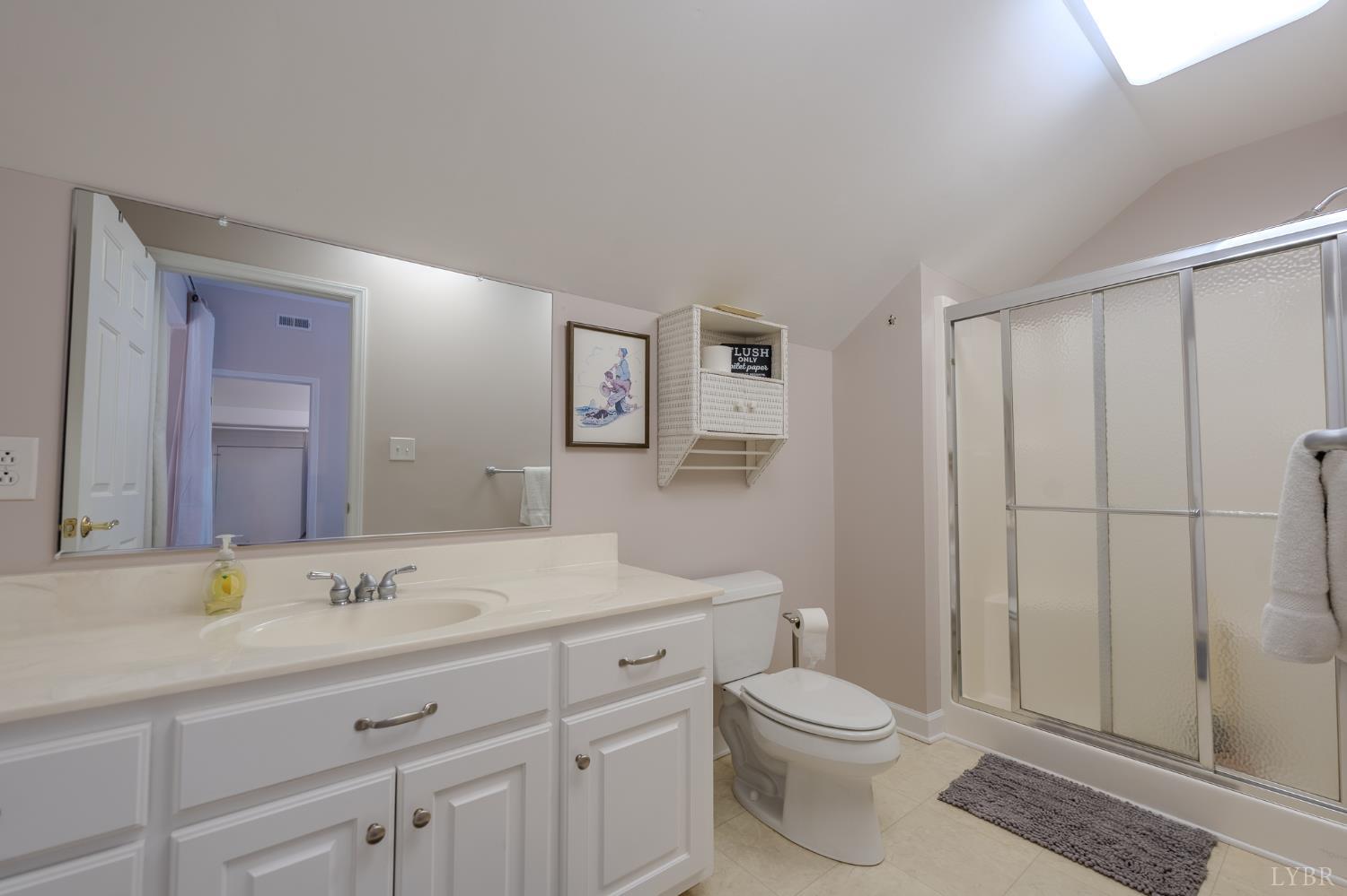 1269 Runaway Bay Road Lynch Station, VA 24571 - Photo 30 of 82 a bathroom with a sink a toilet a mirror and shower