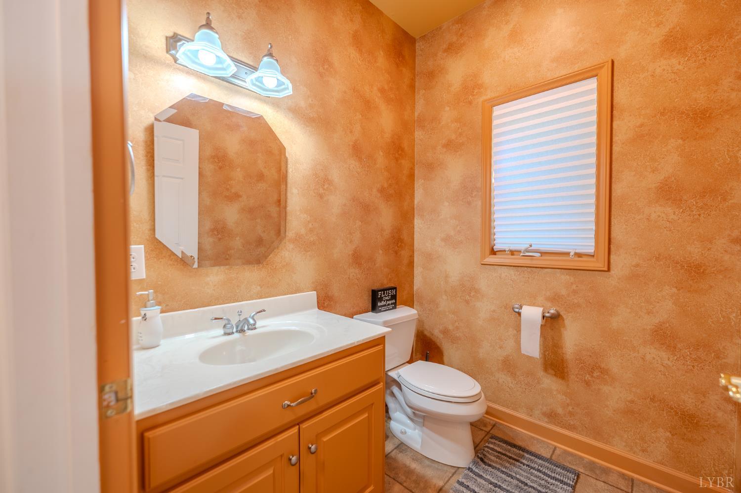 1269 Runaway Bay Road Lynch Station, VA 24571 - Photo 10 of 82 a bathroom with a sink a toilet and mirror