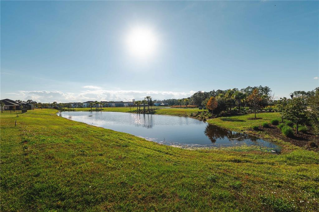 2181 Longliner Loop Wesley Chapel, FL 33543 - Photo 15 of 44 a view of a lake with houses in back