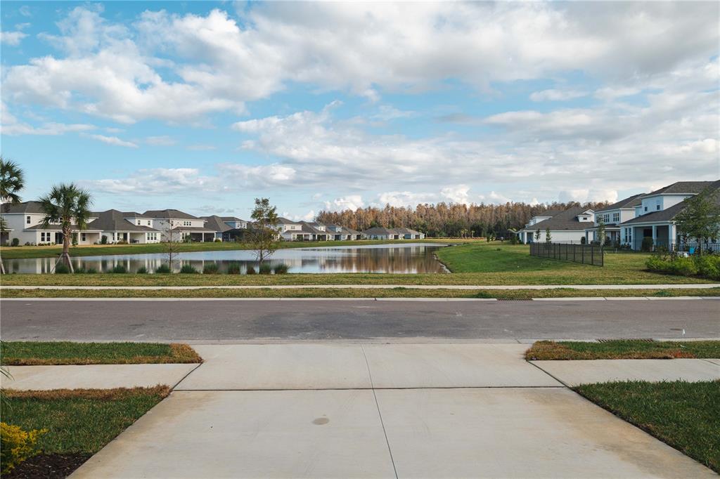 2181 Longliner Loop Wesley Chapel, FL 33543 - Photo 32 of 44 a view of a big yard with plants and large trees