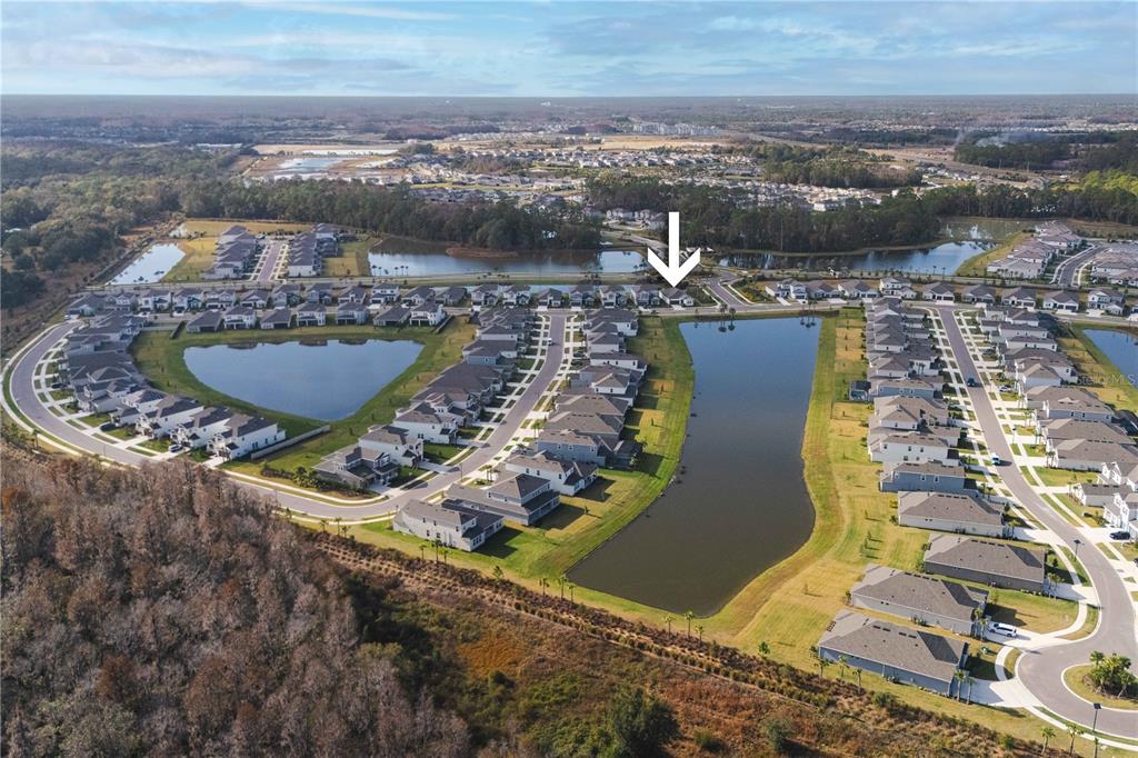 2181 Longliner Loop Wesley Chapel, FL 33543 - Photo 38 of 44 an aerial view of a house with a swimming pool