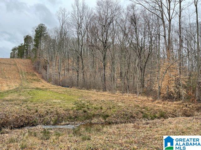 59 County Road, Unit 30 Heflin, AL 36264 - Photo 12 of 24