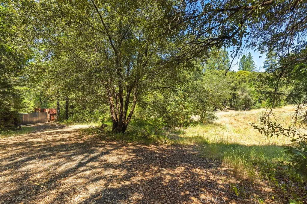 7859 Reed Rackerby, CA 95972 - Photo 12 of 22