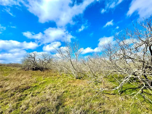 $284,700 | 1118 County Road 447, Waelder, TX 78959