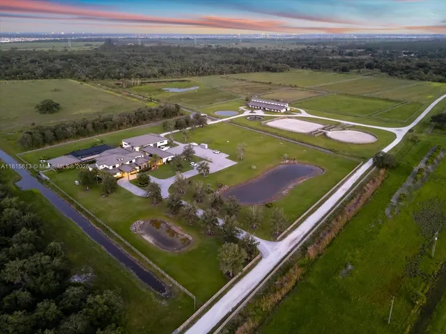 a green field with lots of tress in it