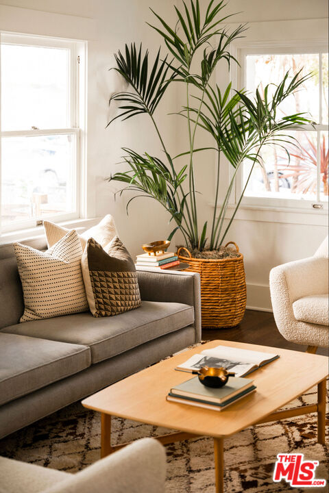 1205 Sanborn Avenue Los Angeles, CA 90029 - Photo 10 of 48 a living room with furniture and a potted plant