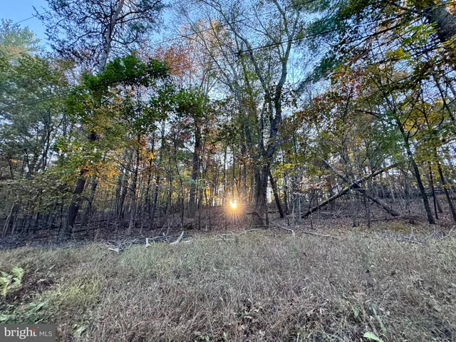 a view of outdoor space and trees