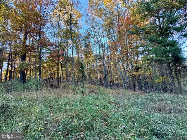 a big yard with lots of green space and plants