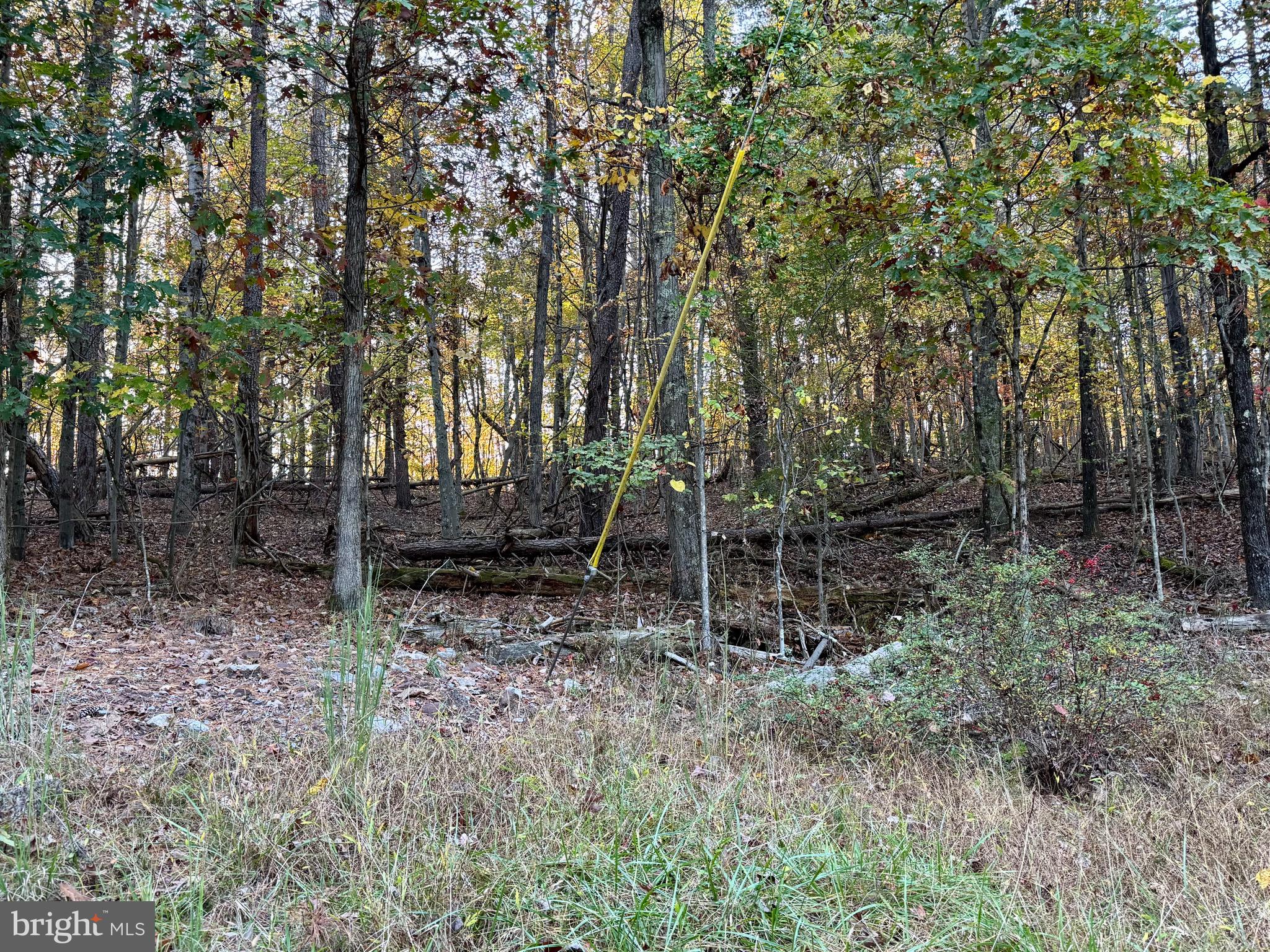 Whitetail Drive Berkeley Springs, WV 25411 - Photo 21 of 21 a view of backyard with green space