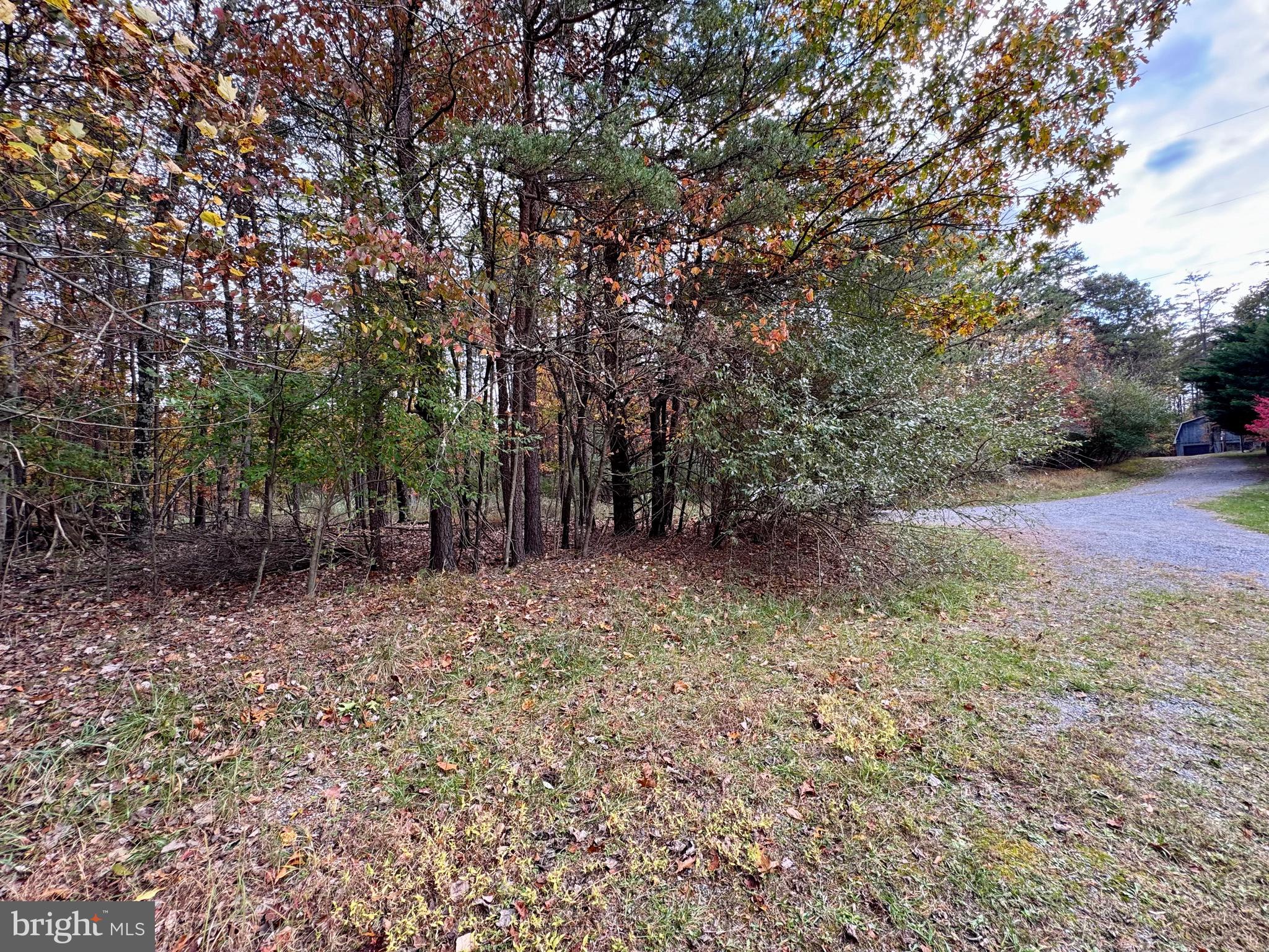 Whitetail Drive Berkeley Springs, WV 25411 - Photo 6 of 21 a view of a forest with trees in the background