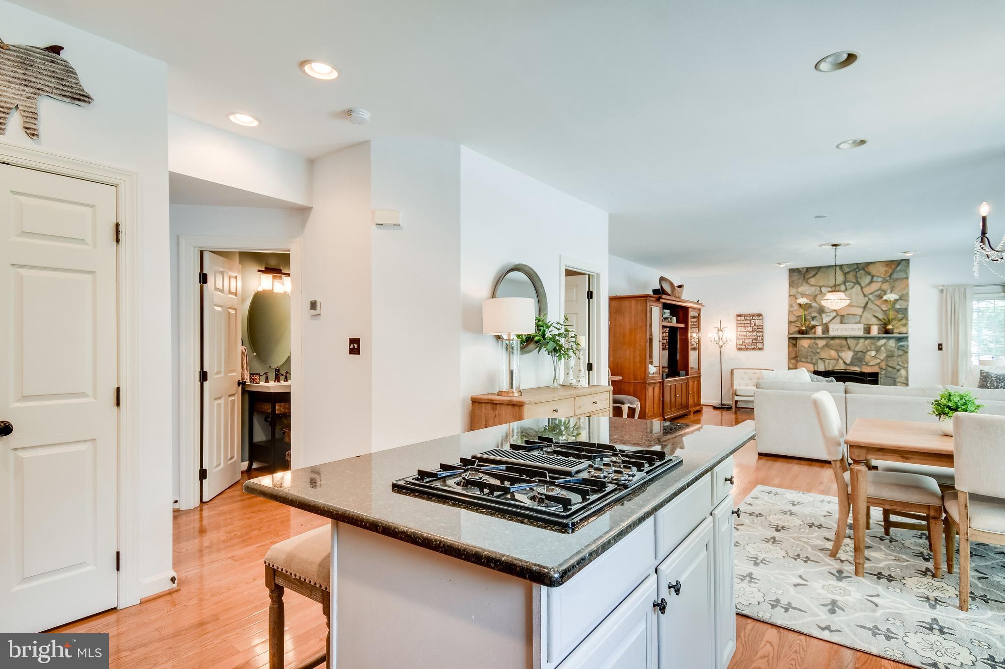 43327 Ritter Lane Chantilly, VA 20152 - Photo 18 of 65 Gallery Image 18