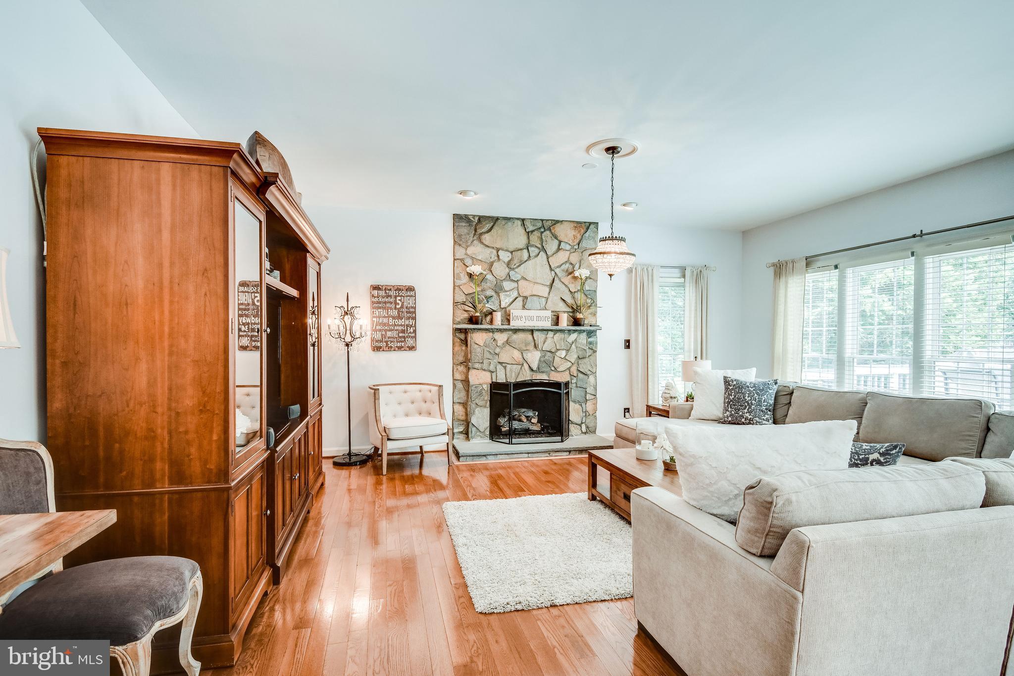 43327 Ritter Lane Chantilly, VA 20152 - Photo 24 of 65 Stone fireplace