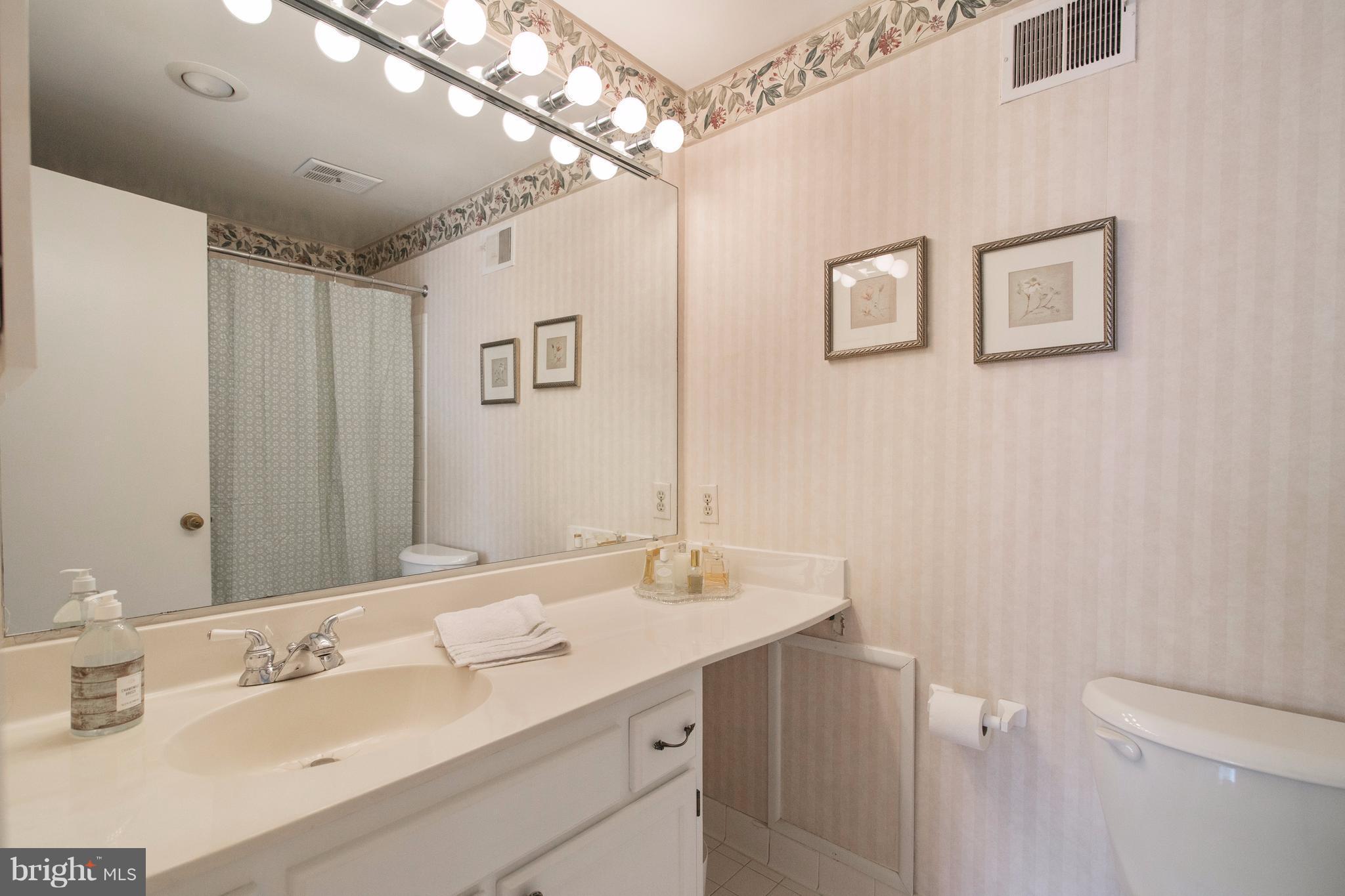 303 Crescendo Way Silver Spring, MD 20901 - Photo 21 of 30 Master Bath Suite