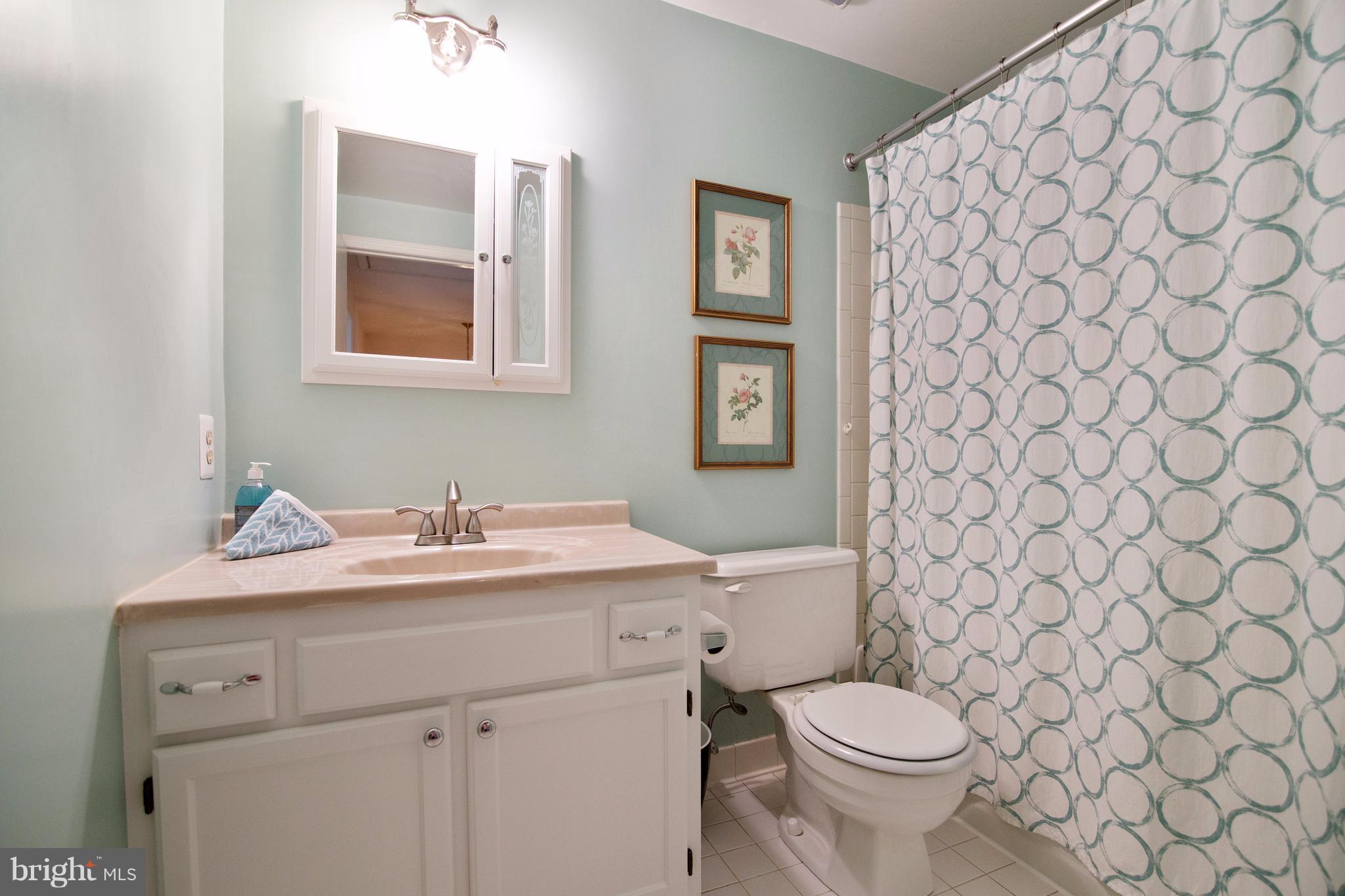 303 Crescendo Way Silver Spring, MD 20901 - Photo 24 of 30 Upper Level Full Bath